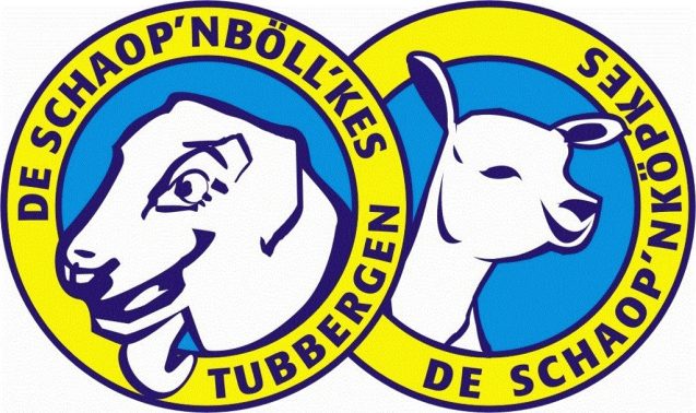 Schaopnbollkes